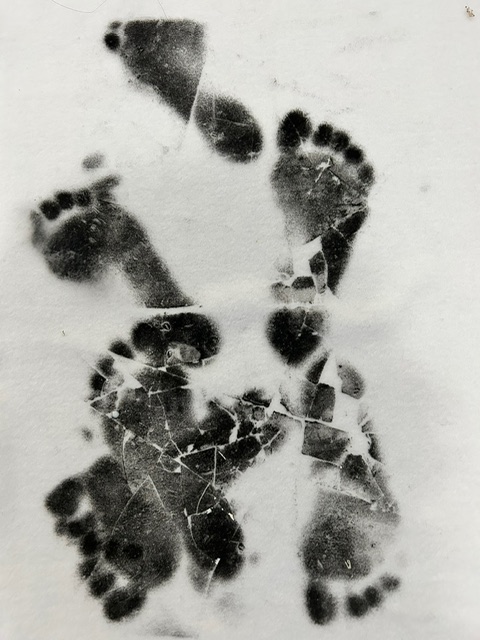 Ghosts and Angels in the Nursery — IMG 1815