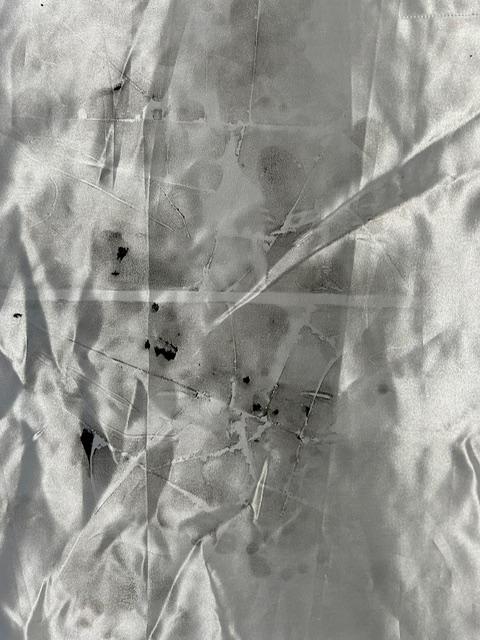 Ghosts and Angels in the Nursery — IMG 1822