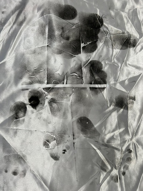 Ghosts and Angels in the Nursery — IMG 1823